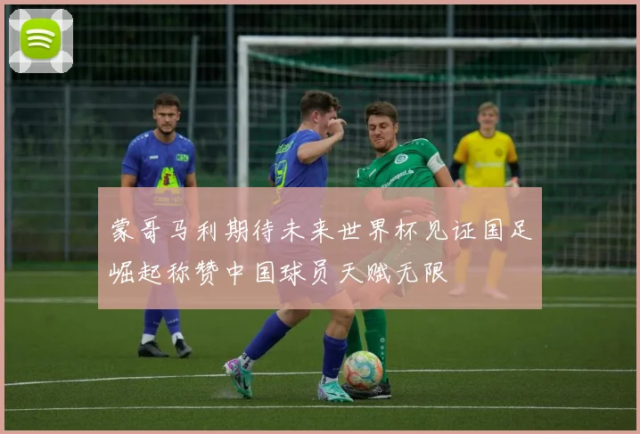 蒙哥马利期待未来世界杯见证国足崛起称赞中国球员天赋无限